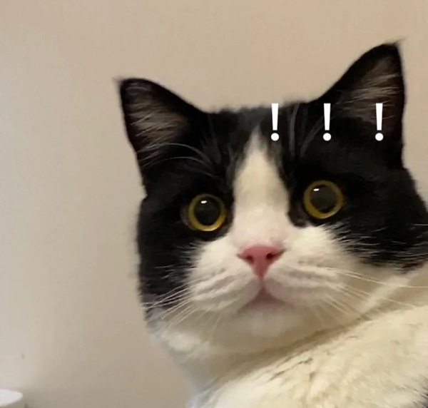 Meme trợn mắt 20