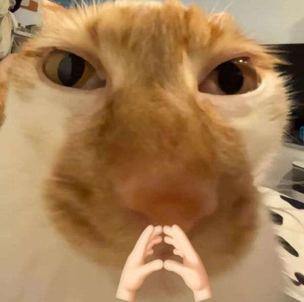 Meme trợn mắt 31