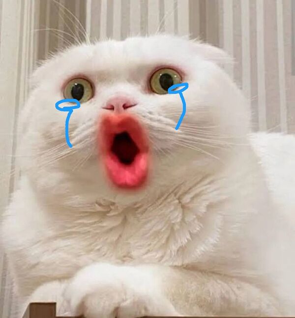 Meme trợn mắt 33