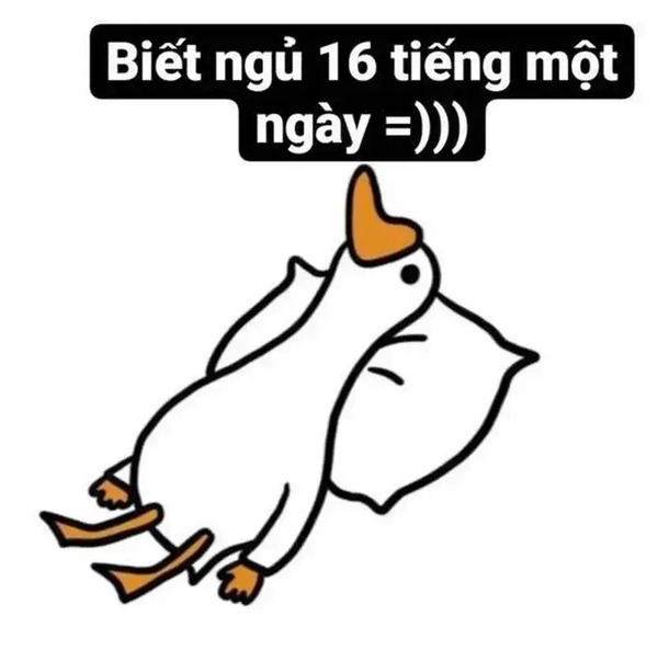 Meme xỉu 17