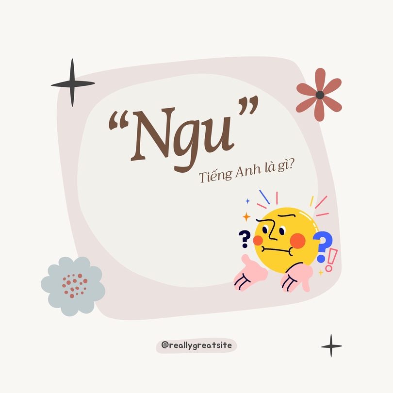 Ngu Tiếng Anh Là Gì?