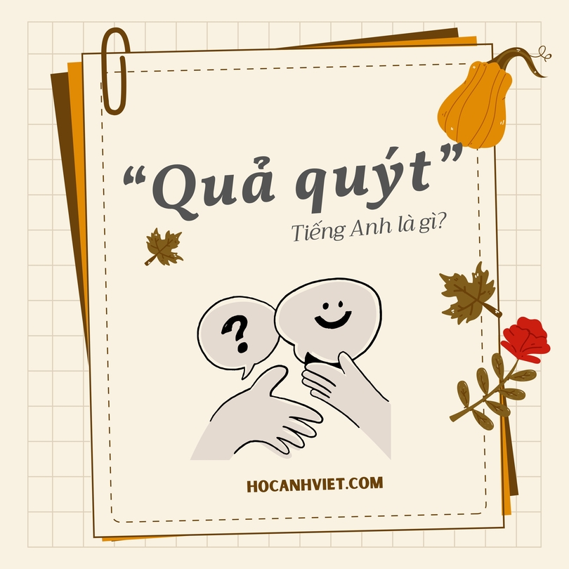 Quả quýt tiếng Anh là gì?
