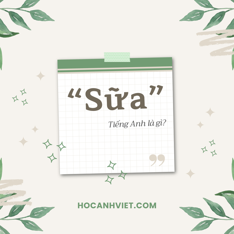 Sữa tiếng Anh là gì?